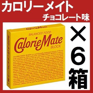 オオツカセイヤク(大塚製薬)のカロリーメイト4本入チョコレート6箱(その他)