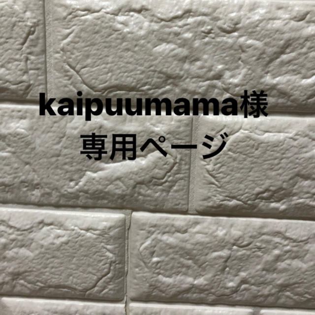 kaipuumama様専用ページ キッズ/ベビー/マタニティのベビー靴/シューズ(~14cm)(スニーカー)の商品写真