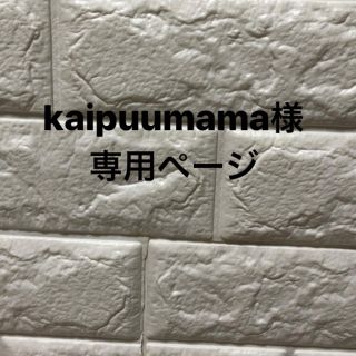 kaipuumama様専用ページ(スニーカー)