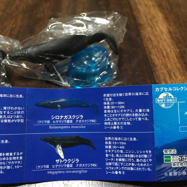 EPOCH - 地球生命紀行 クジラ。フィギュアコレクションの通販 by ましゅう's shop｜エポックならラクマ
