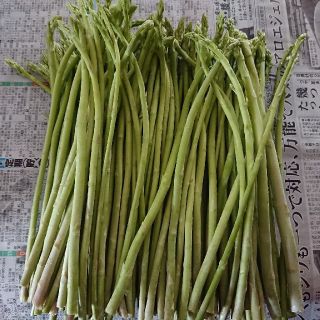 えいたん様専用  佐賀県産グリーンアスパラ2セット(野菜)