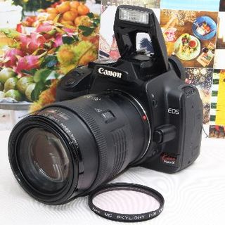Canon - ️初心者に最適機種 ️キャノン CANON EOS Kiss X ️の通販｜ラクマ