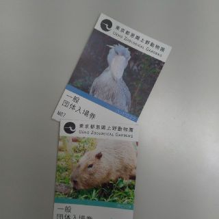 上野動物園入場券大人2枚セット　即購入OK(動物園)