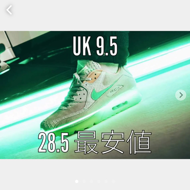 NIKE(ナイキ)の☆海外限定☆即発送　NIKE Air Max 90 New Species メンズの靴/シューズ(スニーカー)の商品写真