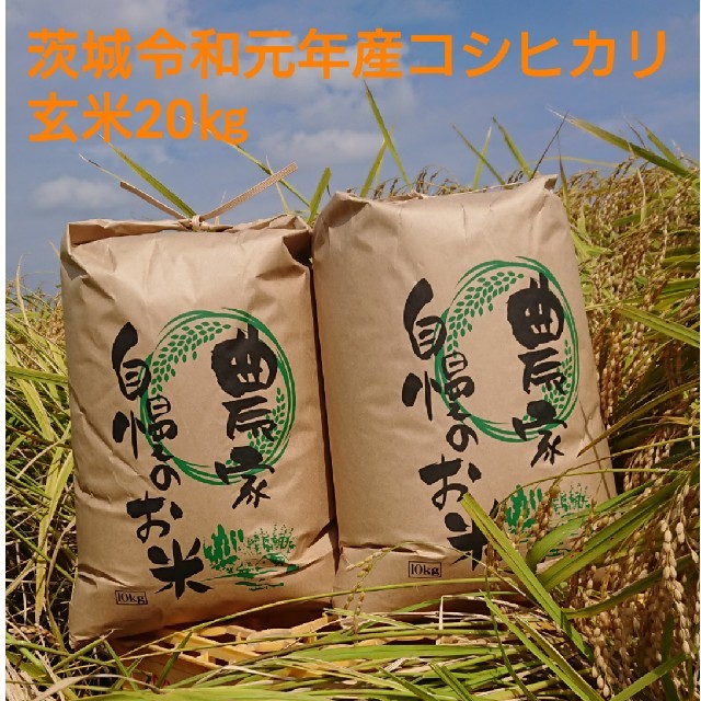 茨城令和3年産新米コシヒカリ玄米20㎏
