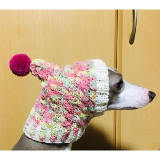 即発送 手編み 犬 スヌード イタグレ チワワ トイプー ニット帽 帽子の通販 By うーる S Shop ラクマ 即発送 手編み 犬 スヌード イタグレ チワワ トイプー ニット帽 帽子の通販 By うーる S Shop ラクマ