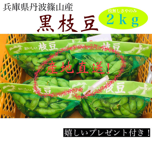 丹波篠山産黒枝豆！！ 食品/飲料/酒の食品(野菜)の商品写真