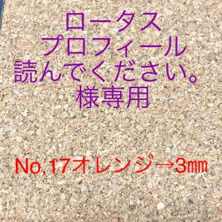 ロータスプロフィール読んでください。様専用(エクササイズ用品)