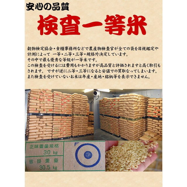 お米 令和元年産 白米 コシヒカリ 10kg 10キロ 福井県産 福井米 食品/飲料/酒の食品(米/穀物)の商品写真