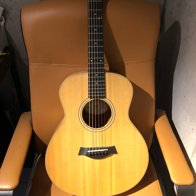 Taylor  gs  mini