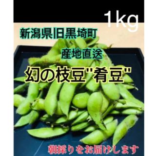 たぬきさんちの枝豆  1kg(野菜)