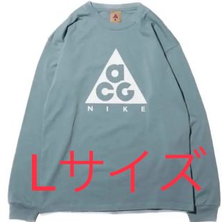 ナイキ(NIKE)のNIKE ACG  ロゴ ロンT 本田翼着用　セール　売り切り　グレー L(Tシャツ/カットソー(七分/長袖))