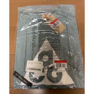 NIKE ACG ロゴ ロンT 本田翼 着用モデル 即完売品 グレー S