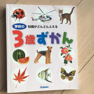 ガッケン(学研)の図鑑(絵本/児童書)