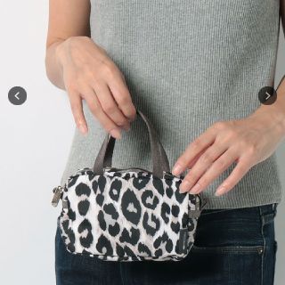 レスポートサック(LeSportsac)のレスポートサック メゾンドリーファー マイクロバッグ(ポーチ)