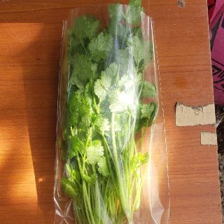 無農薬パクチー　100g(野菜)