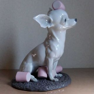 リヤドロ チワワとマシュマロの通販|ラクマ