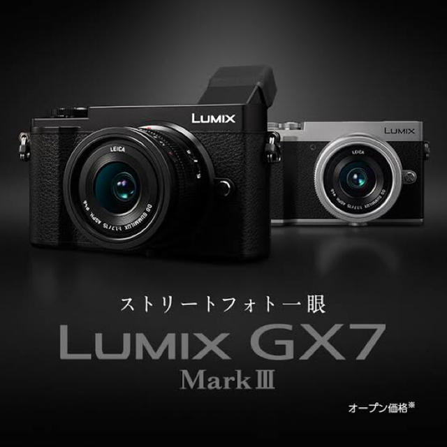 魅力的な価格 Panasonic Panasonic gx7mk3 ボディ ボディ DC-GX7MK3-S