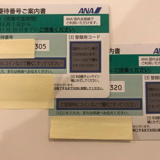 エーエヌエー(ゼンニッポンクウユ)(ANA(全日本空輸))のANA 株主優待券 2枚セット(その他)