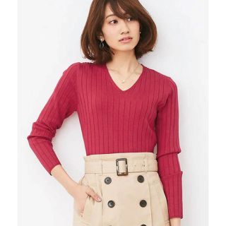 上品♡ UVカット＆お家で洗えるVネック長袖ウォッシャブルリブニット(ニット/セーター)