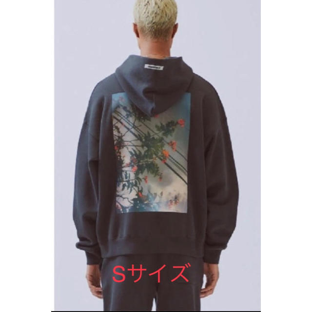 Essentials Photo Series Pullover Hoodie