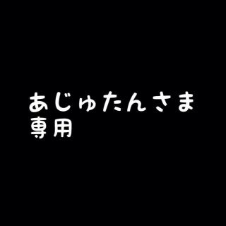 あぢゅたん様専用(その他)