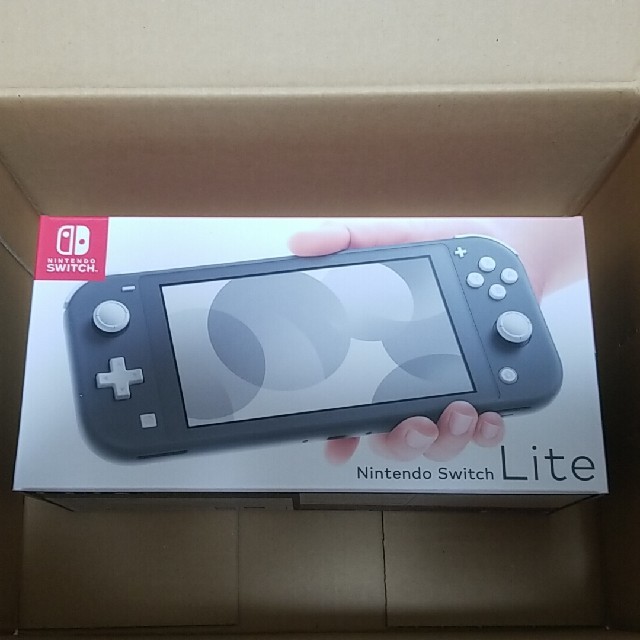 Nintendo Switch Lite グレー-eastgate.mk