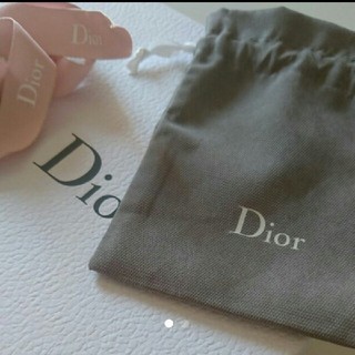 ディオール(Dior)のdior 小物が入る巾着 ２枚セット(ポーチ)