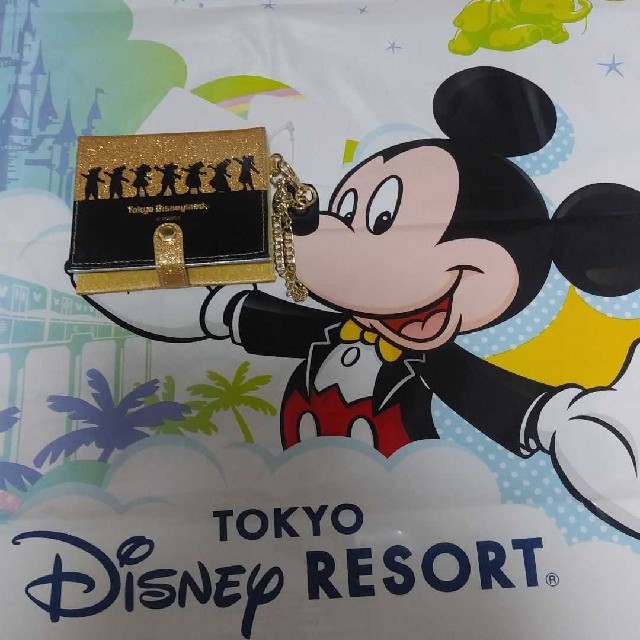 Disney(ディズニー)のワンマンズドリーム　パスケース エンタメ/ホビーのおもちゃ/ぬいぐるみ(キャラクターグッズ)の商品写真