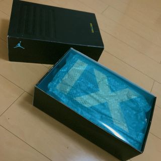 AIR JORDAN 11 RETRO 29cm(スニーカー)