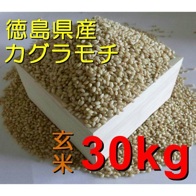 令和元年産　カグラモチ（もち米）　玄米30kg　徳島産　新米／色選食品/飲料/酒