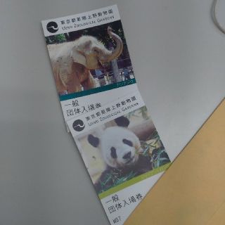 上野動物園大人入場券2枚セット 即購入OK(動物園)