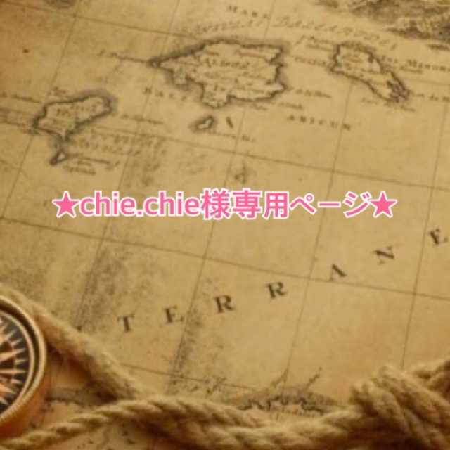 chie.chie様専用ページ⭐︎最新版!4in1+おまけ付き 【期間限定送料無料