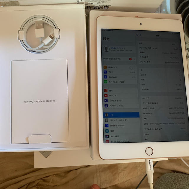 iPad mini5 docomo 64GB ゴールド 三角判定永久保証