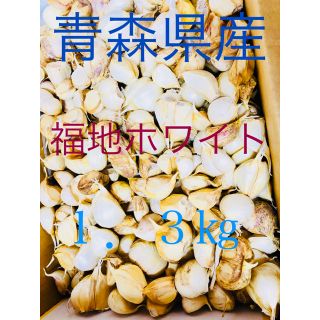  ※今期販売終了※にんにく 青森県産 福地ホワイト 何でも詰め合わせ 1.3キロ(野菜)