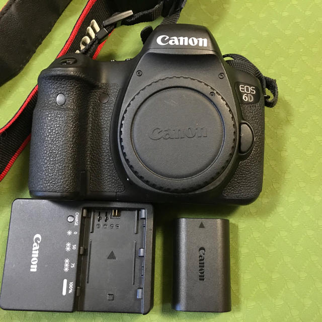 キャノンEOS6Dボディ