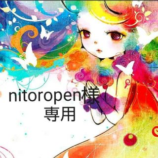 nitoropen様専用ページ(その他)