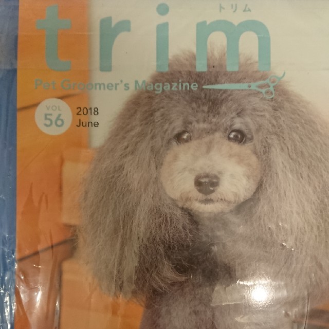 trim（VOL49（2017　Apri） エンタメ/ホビーの本(住まい/暮らし/子育て)の商品写真