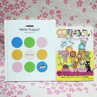 ショウガクカン(小学館)の相性まるわかりの動物占い&はじめての子犬ブック　2冊セット(人文/社会)