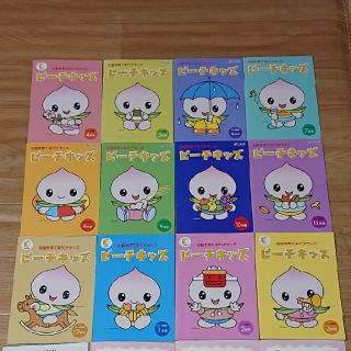 ピーチキッズ 七田 12ヶ月分