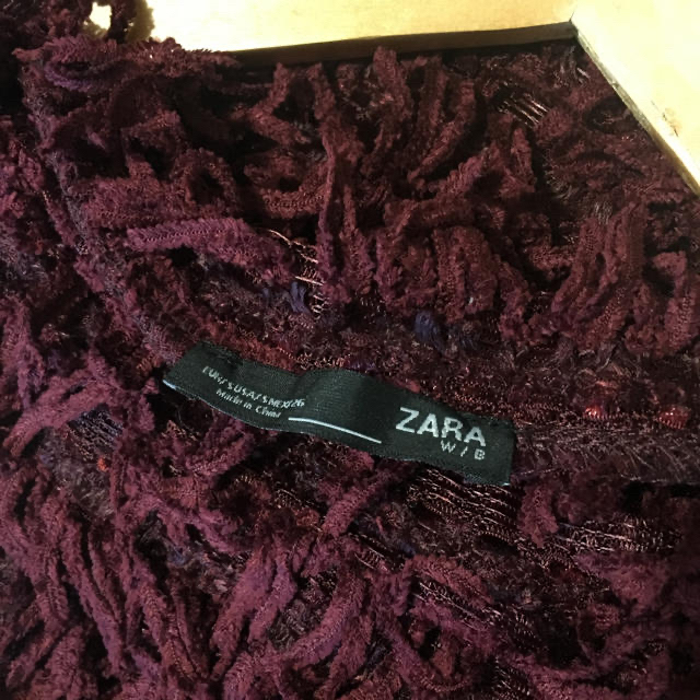 ZARA(ザラ)のZARA フリンジトップス レディースのトップス(カットソー(長袖/七分))の商品写真