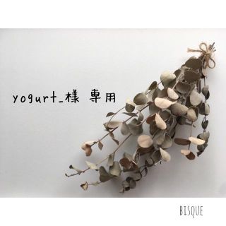 yogurt_様 専用リピ♪ ラクマパック発送(その他)