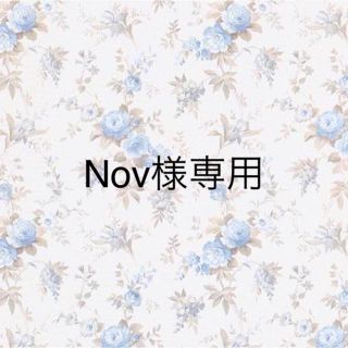 Nov様専用(その他)