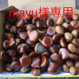 栗 無農薬 約1.2キロ(フルーツ)