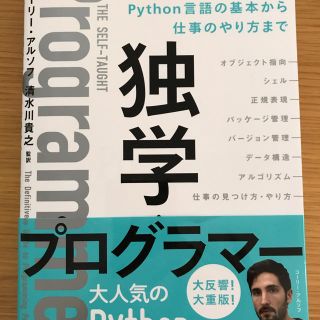 ニッケイビーピー(日経BP)の独学プログラマー(コンピュータ/IT)