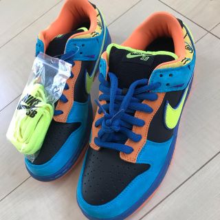 ナイキ(NIKE)のNIKE DUNK LOW PRO SB SKATE OR DIE 新品(スニーカー)