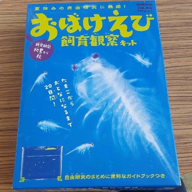 学研 おばけえび飼育観察キットの通販 By Ks S Shop ガッケンならラクマ 学研 おばけえび飼育観察キットの通販 By Ks S Shop ガッケンならラクマ