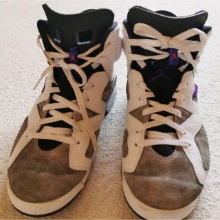 ナイキ(NIKE)の†28cm† NIKE AIR JORDAN 6 RETRO LTR FLINT(スニーカー)