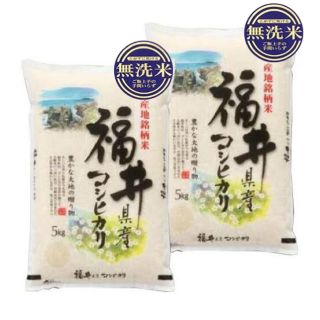 令和元年 新米 無洗米 コシヒカリ 10kg 5kg×2 福井県産 お米(米/穀物)