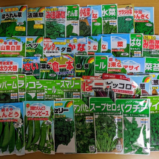 【野菜・花の種】90種類から6種類を選んで300円!!　家庭菜園に 食品/飲料/酒の食品(野菜)の商品写真